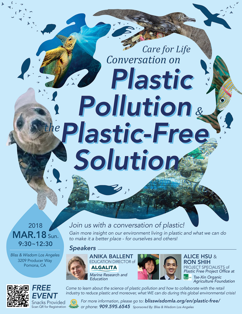 Plastic Pollution & the Plastic-Free Solution