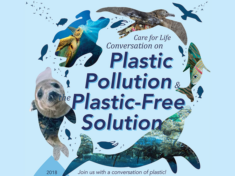 Plastic Pollution & the Plastic-Free Solution