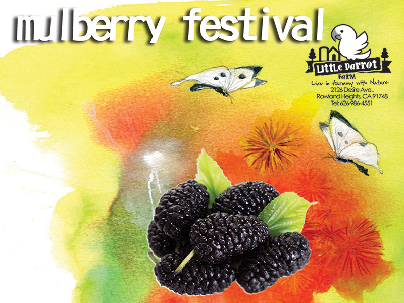 July 14, Mulberry Festival at Little Parrot Farm