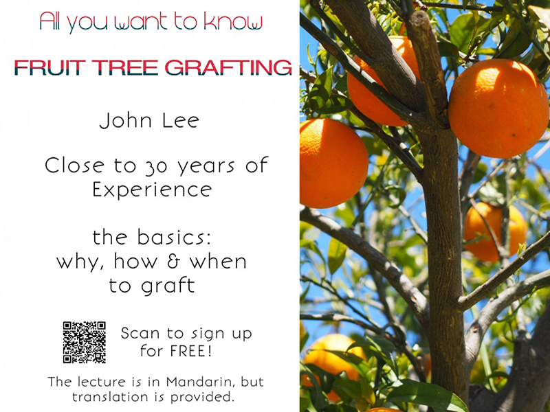 Fruit Trees Grafting 03172019