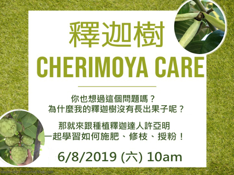 釋迦樹 Cherimoya Care