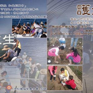 放生護生祈福 fish, earthworm release