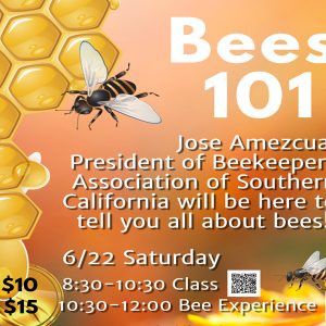 認識蜜蜂及體驗 Bee Class and Bee Experience