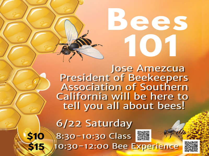認識蜜蜂及體驗 Bee Class and Bee Experience