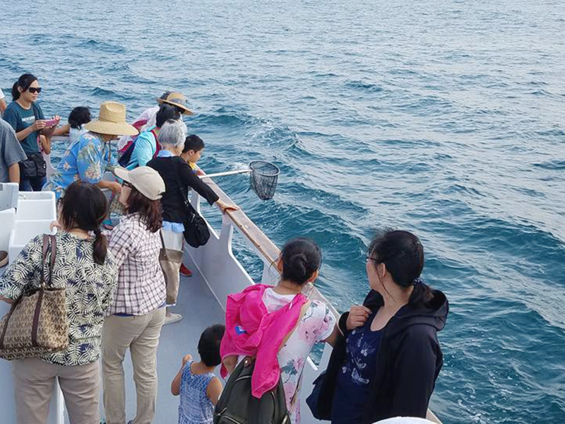 Fish Release