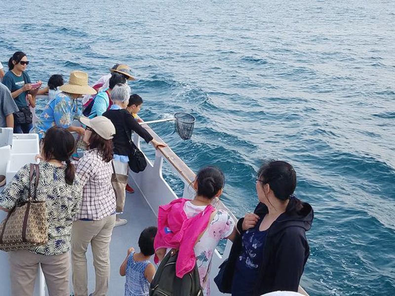 Marina Del Rey Fish Release