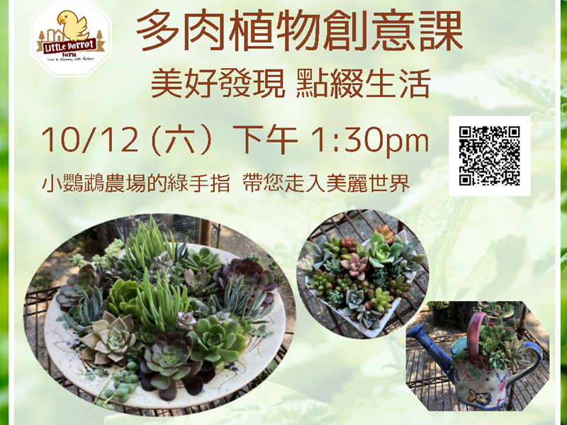 Succulent arrangement workshop-Oct. 12