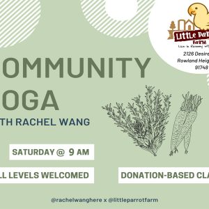 Yoga Saturday 9am-2020 @ Little Parrot Farm