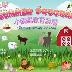 小鸚鵡農場-暑期線上課程