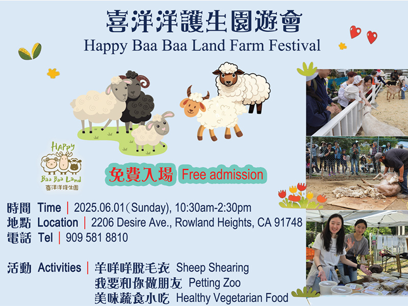 Cool Off This Summer with Our Sheep! Join us for a fun Shearing Party!