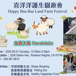 羊咩咩換夏裝