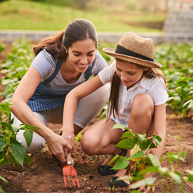 farm donation