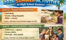 summer activities for high school students