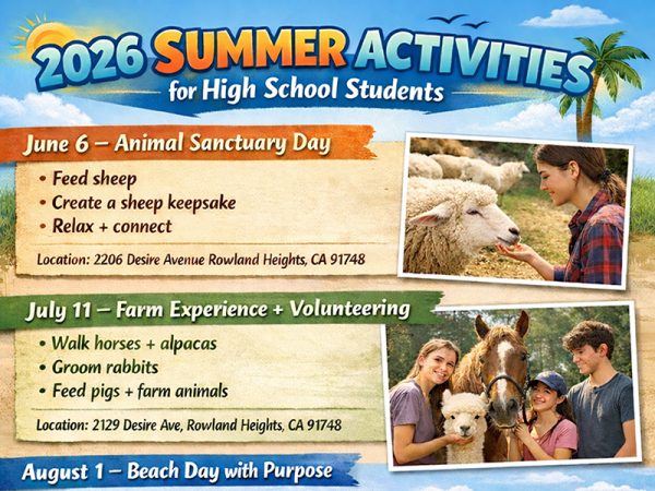 summer activities for high school students